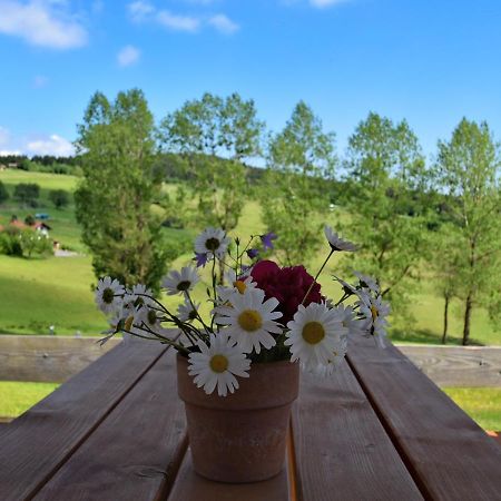 Chalet In Hinterrod Thuringia With Sauna Eisfeld 外观 照片