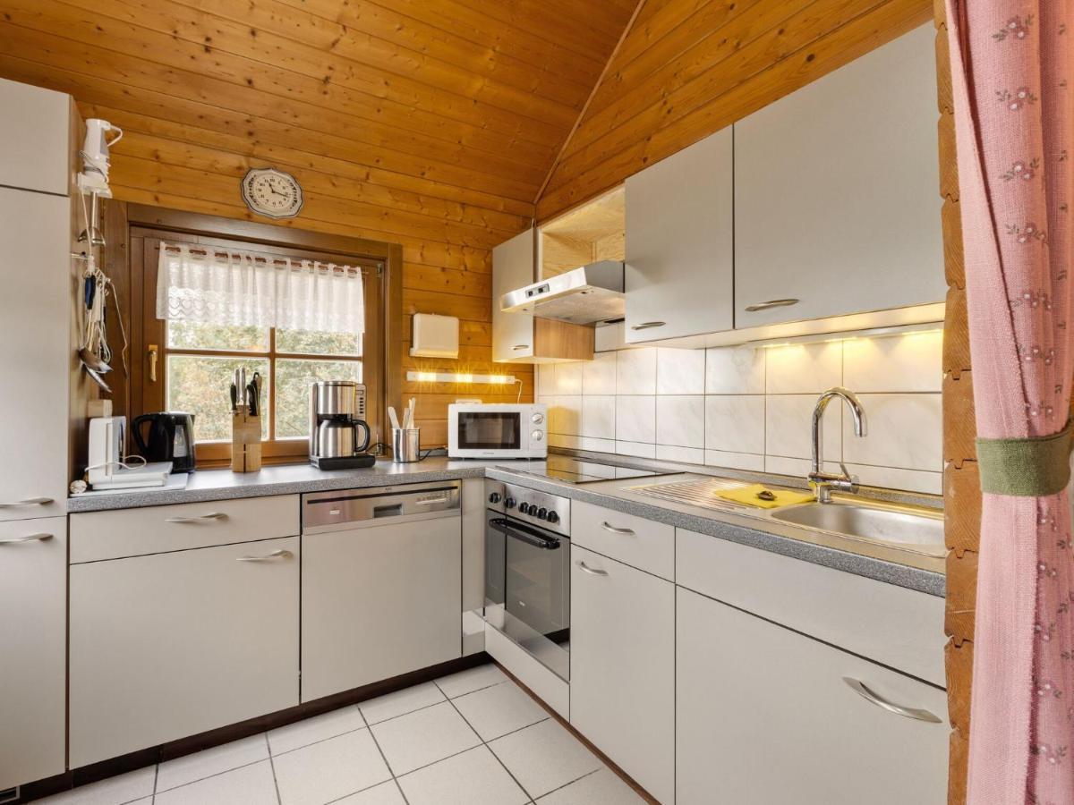 Chalet In Hinterrod Thuringia With Sauna Eisfeld 外观 照片